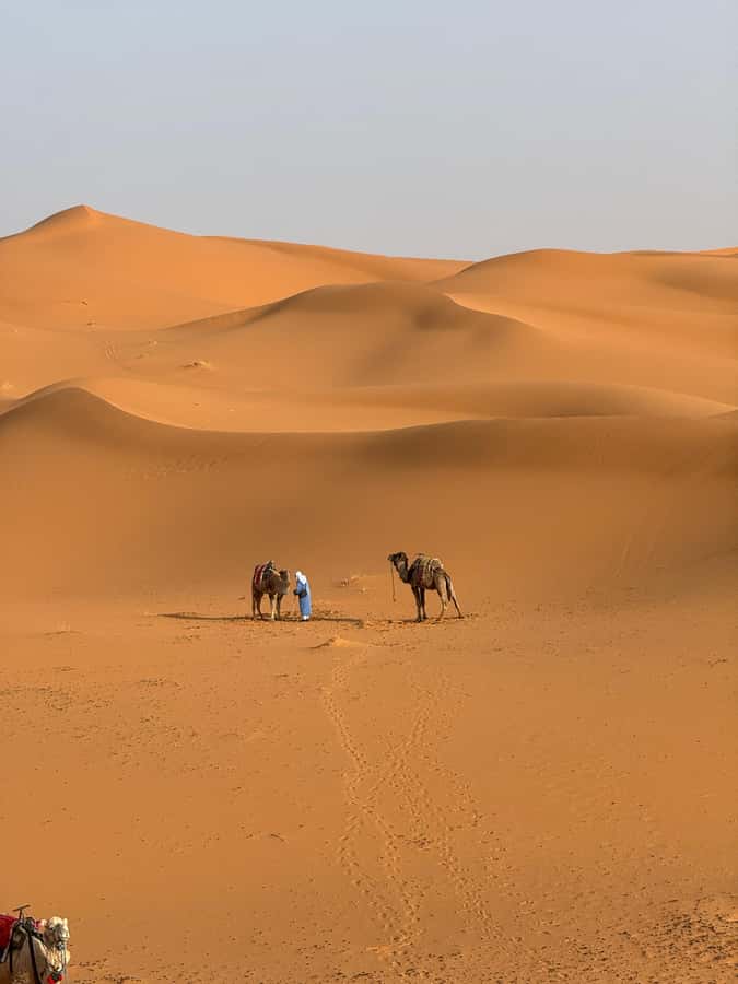 3-Day luxury Adventure: Marrakech to Merzouga incl.Quad/show - Key points to know before booking
