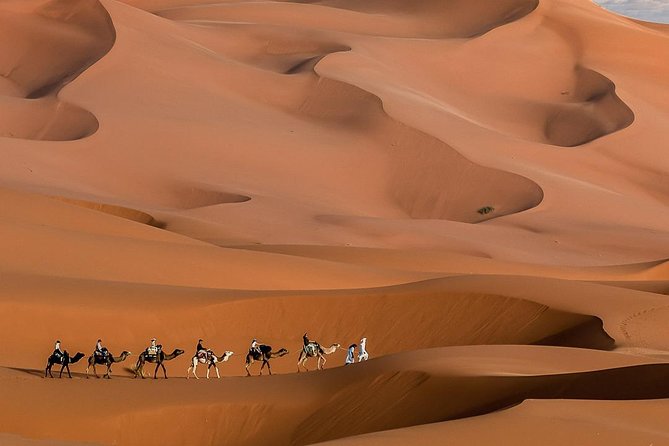 3 Day Marrakech to Fes desert Tour - Camel Trek - What the $573.51 price buys you
