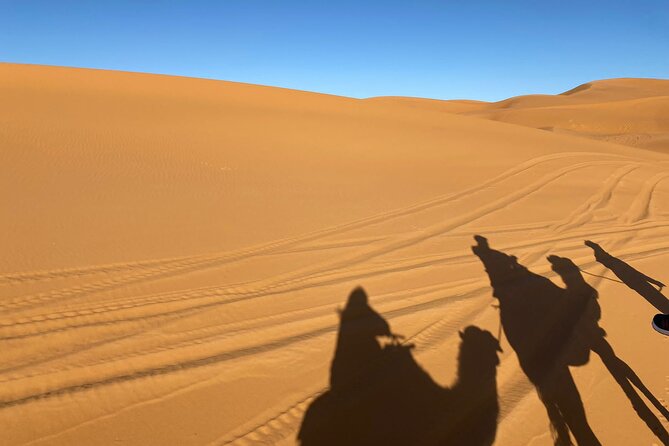 3-Day Private Tour in the Moroccan Desert - The nine-hour return to Marrakech