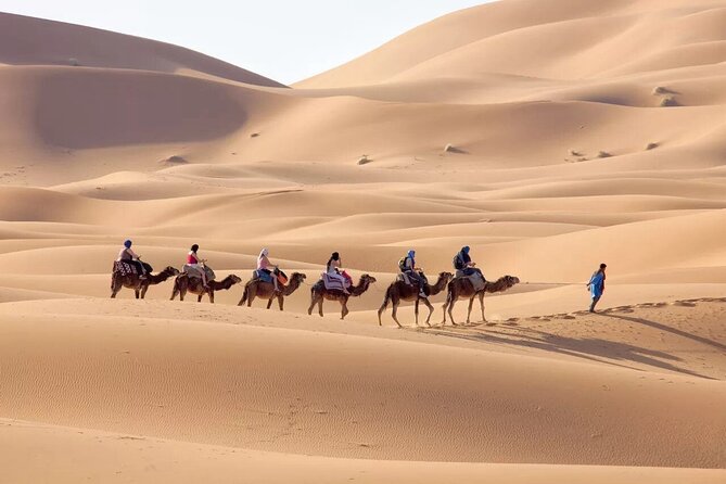 3-Day Sahara Adventure: Marrakech to Fez via Merzouga - Ait Ben Haddou and the old caravan route