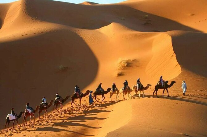 3-Day Sahara Adventure: Marrakech to Fez via Merzouga - Sunrise, breakfast, and the choice of camel or 4x4