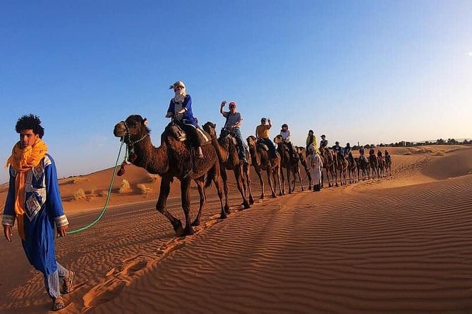 3 Day Sahara Desert Tour From Marrakech - Palm groves, dates, and Erfoud