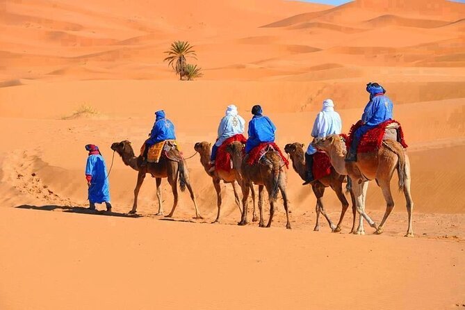 3-Day Tour from Marrakech to Merzouga Desert - Quick takeaways from Marrakech to Merzouga