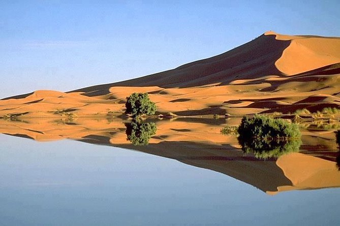 3 Days 2 Nights Adventure from Marrakech to Fez via Desert - A morning walk through Todra Gorge