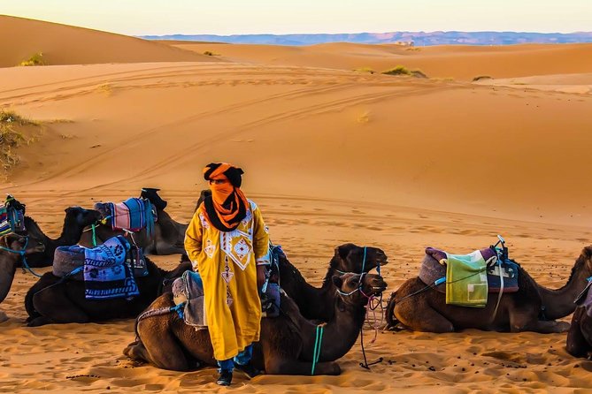 3 Days 2 nights Desert Tour from and back to Marrakech - Sunset by camel at Erg Chebbi