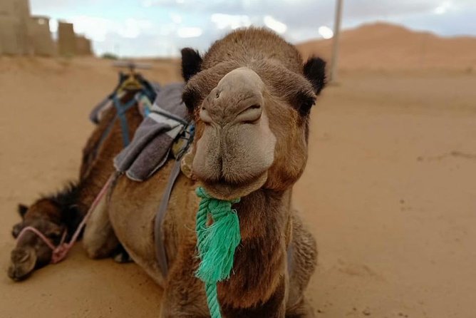 3 Days 2 Nights: Desert Tour from Fes to Marrakech - Why this route works as a Fes to Marrakech transfer
