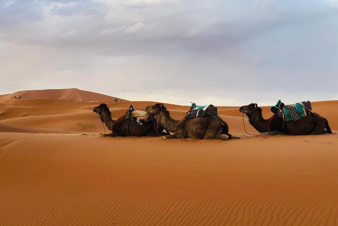 3 Days 2 Nights: Desert Tour from Fes to Marrakech - What is included, and what will cost extra