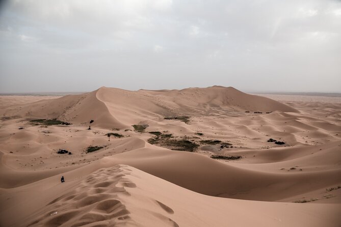 3 Days 2 Nights Desert Tour from Fes to Marrakech via erg Chebbi - Ouarzazate’s kasbah and film studios