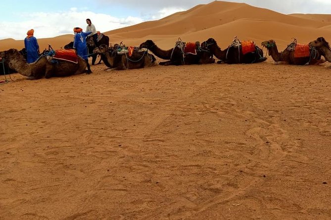 3 Days 2 Nights: Desert Tour from Fes to Marrakech - Day one: Ifrane, Midelt, and the Ziz Valley