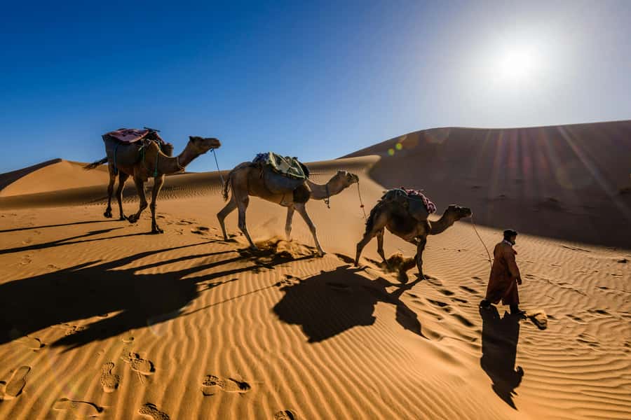 3 Days - 2 Nights Desert Tour From Marrakech with Camel Ride - Who will enjoy this trip most