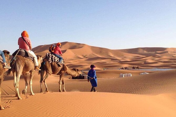 3 Days 2 Nights Desert Trip From Fez to Marrakech in Group - The Erg Chebbi camel ride and desert camp