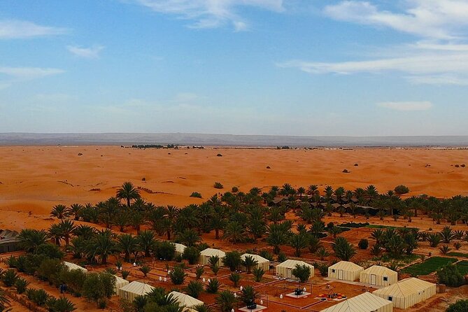 3 Days Desert Tour Fes to Marrakech with 2 Nights in Merzouga - Camel tracks into the Erg Chebbi dunes