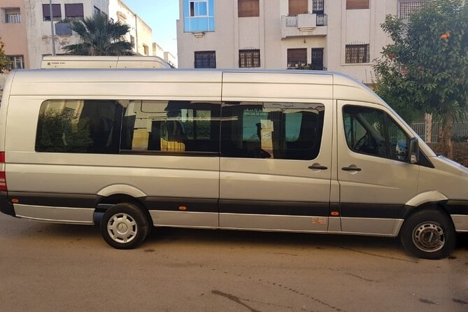 3 Days Desert Tour Fes to Marrakech with 2 Nights in Merzouga - Cedar trees and monkeys near Azrou