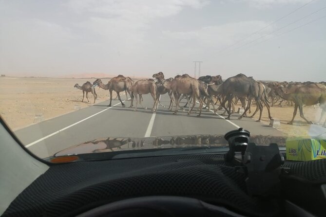3 Days Desert Tour Fes to Marrakech with 2 Nights in Merzouga - What to pack for the three-day route