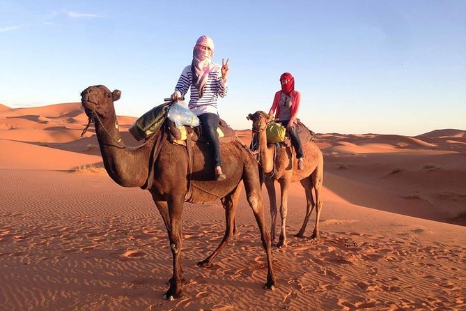 3 Days Desert Tour from Fes to Marrakech via Merzouga - The private vehicle and guide make a real difference