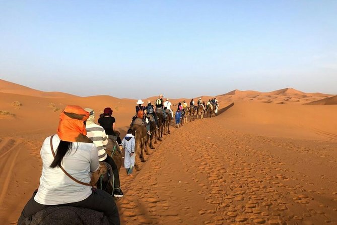 3 Days Desert Tour from Fes to Marrakech via Merzouga - Who should book this three-day crossing