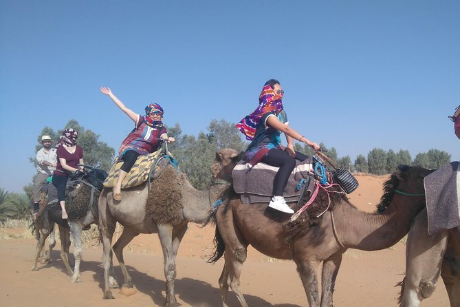 3 Days Desert tour from Fez to Marrakesh via Merzouga Erg chebbi - Booking value and timing