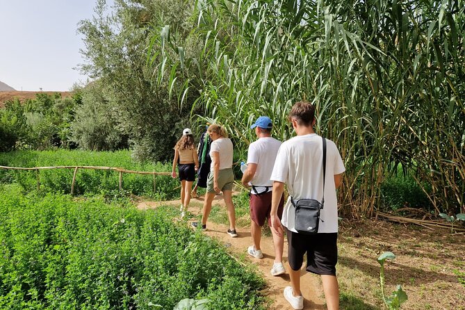 3 Days Desert Tour From Marrakech to Merzouga - From Marrakech to the High Atlas at 7:30 a.m.