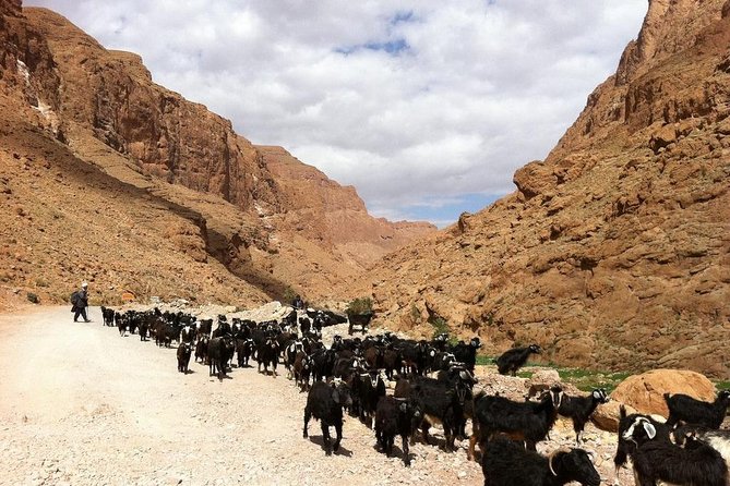 3 Days Desert Tour From Marrakech To Merzouga Désert And World Heritage Kasbah - Practical packing advice for the desert nights