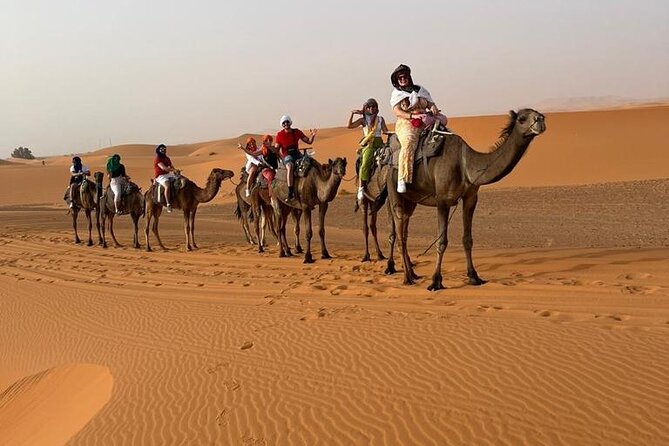3 Days Desert Tour From Marrakech To Merzouga Dunes & Camel Trek - From Marrakech to the High Atlas on Day 1