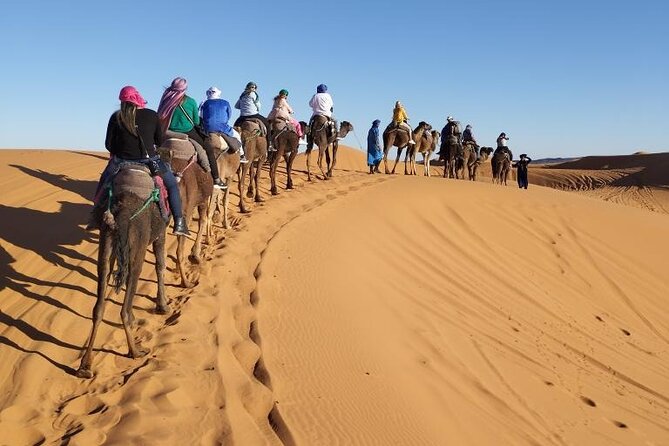 3 Days Desert Tour From Marrakech To Merzouga Dunes & Camel Trek - Sunrise, showers, and the long return to Marrakech