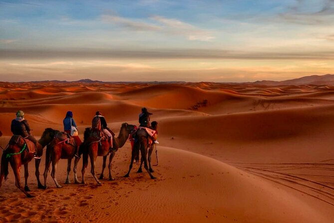 3 Days Excursion into Merzouga Desert - Day two: Dades Gorge, Todgha Gorge, and Rissani