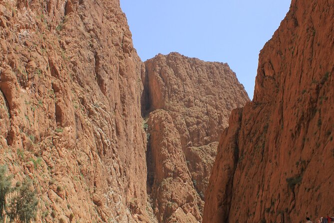 3 Days Fez to Marrakech via Sahara - The vehicle, driver, and group size