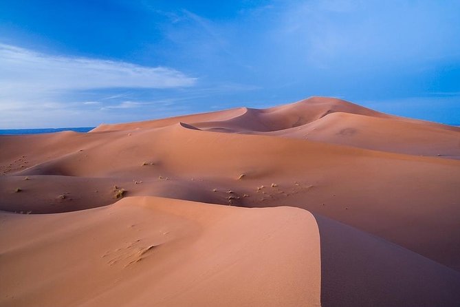 3 Days From Marrakech To Erg Chigaga - Day 2: Camels, M’Hamid, and the long run to Erg Chigaga