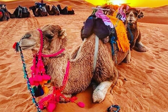 3 Days Group Tour from Marrakech to Merzouga Desert - Why this three-day route works