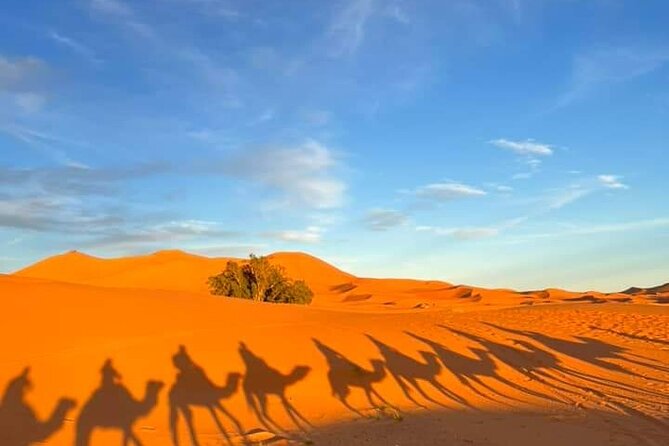 3 Days Group Tour from Marrakech to Merzouga Desert - Camel riding into the Erg Chebbi dunes