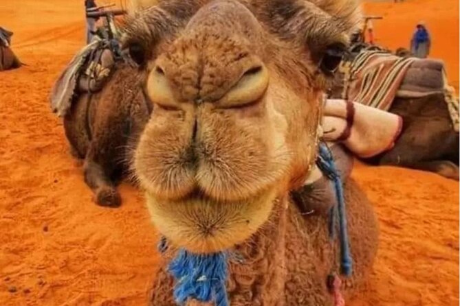 3 Days Group Tour from Marrakech to Merzouga Desert - Ait Ben Haddou and Ouarzazate