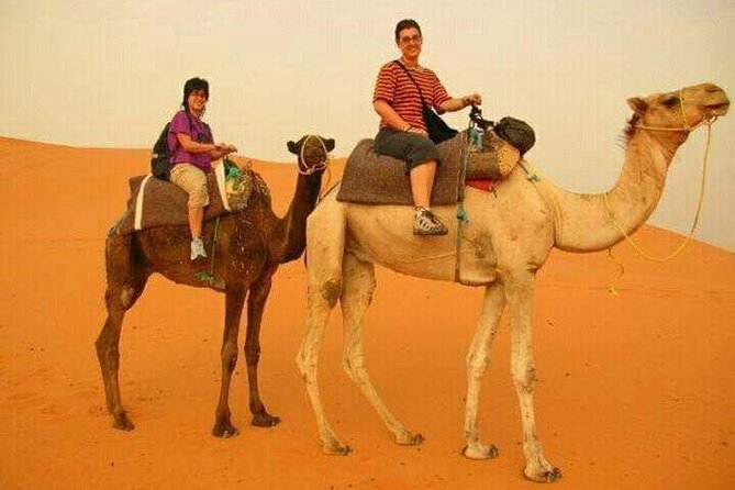 3 Days Luxury Desert Tour From Fes To Marrakech via Merzouga - The driver can shape the whole trip