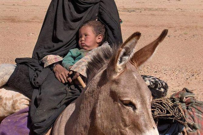 3 Days Marrakech To Fes Desert Tour Via Merzouga - What the $223.32 price really covers