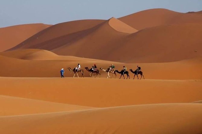 3 Days Marrakech To Fes Desert Tour Via Merzouga - Day 2: Kasbah country, Todra Gorge, and the road to Merzouga