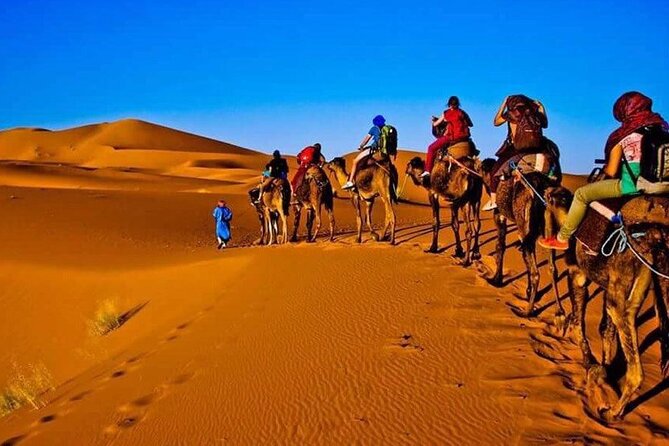 3 Days Merzouga Desert Shared Trip - What the $151.21 price really covers