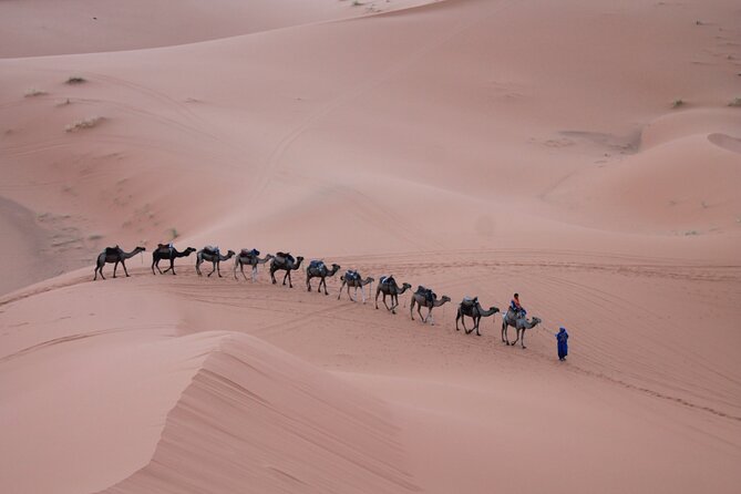 3-Days Morocco Desert Tour from Marrakech to Marzouga - Rose Valley and the thousand kasbahs