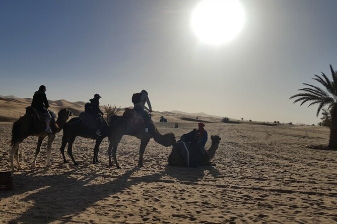 3 Days Private Desert Tour From Fez To Marrakech - Todra Gorge and the Dades Valley