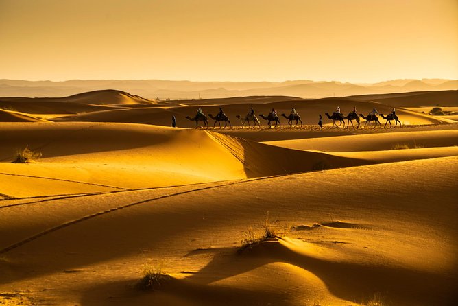 3-Days Private Tour from Marrakech to Fez through Merzouga Desert - Riding a camel into Erg Chebbi