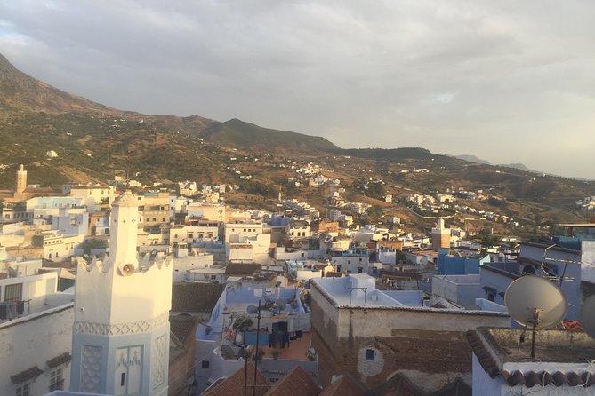3-Days Private Tour from Marrakech to Fez through Merzouga Desert - Day 3: Cedar forests, monkeys, and arrival in Fez