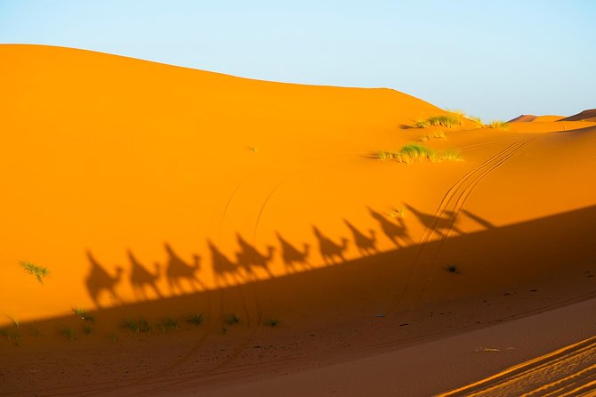 3-Days Private Tour from Marrakech to Fez through Merzouga Desert - What the $801.40 price gives you