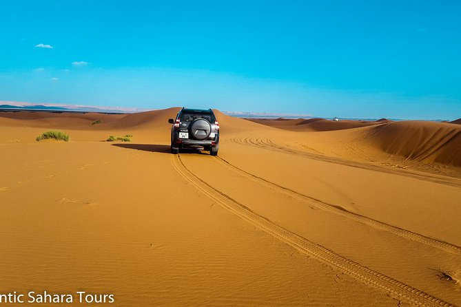 3-Days Sahara Desert Tour from Fez to Marrakech - Day three: roses, palms, film sets, and Ait Ben Haddou