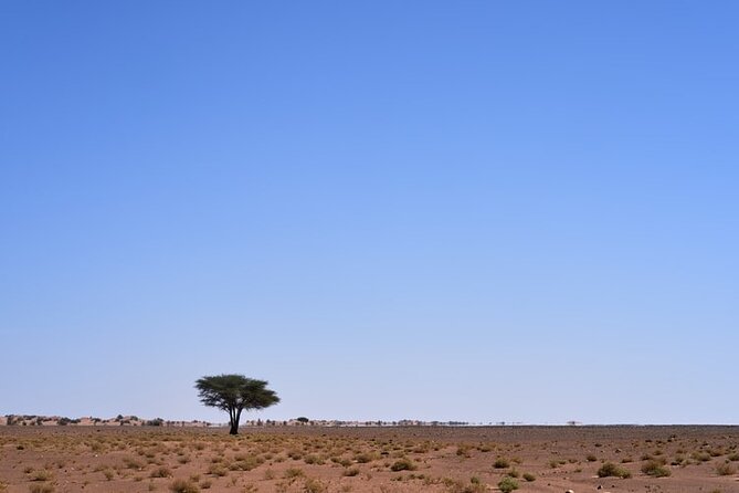 3 Days Sahara Desert Tour from Marrakech to Fes - What the private desert camp is really like