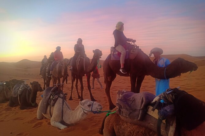 3 Days Sahara Tour from Marrakech to Merzouga Dunes - Who should book this Sahara trip