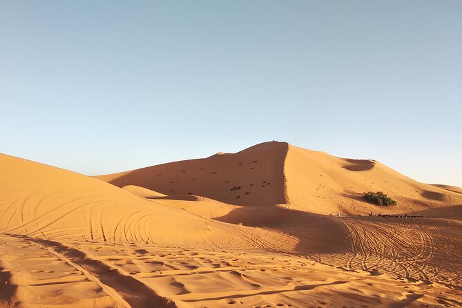 3 Days Sahara tour from Marrakesh - What the small group changes