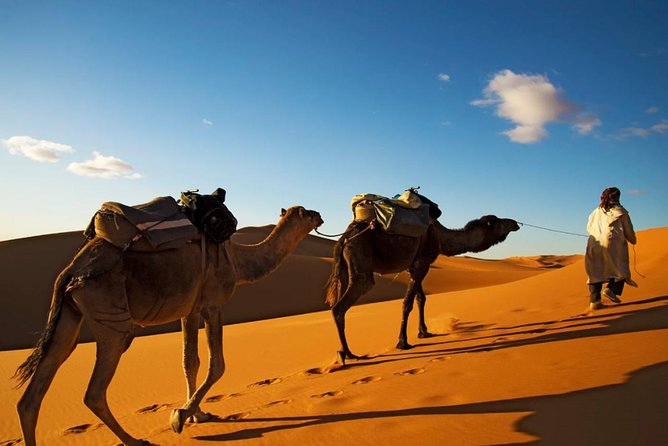 3-days shared Merzouga desert tour from Marrakech - Ouarzazate, Skoura, and the Valley of Roses