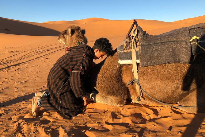 3 Days Shared Sahara Desert Tour From Marrakech - What is included, and what you still need to pay