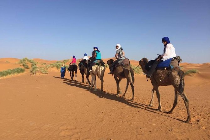 3 days tour from Fes to Marrakech - What the $468.98 price buys you
