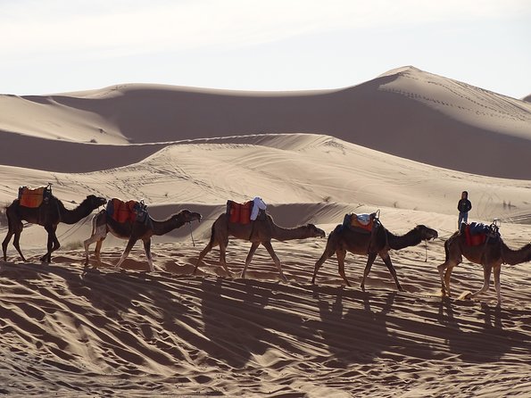 3 days tour from Marrakech to Merzouga - The Merzouga Camel Trek and Camp Night