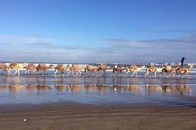 3-hour camel ride at sunset - What the three-hour outing really includes