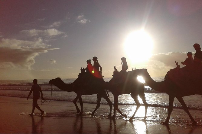3-hour camel ride at sunset - Following the beach toward Diabat